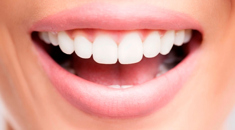Dentes: conheça suas funções.